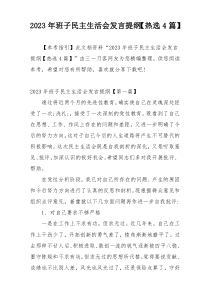2023年班子民主生活会发言提纲【热选4篇】