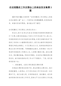 在巡视整改工作反馈会上的表态发言集聚3篇