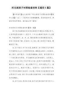 村支部班子对照检查材料【通用5篇】