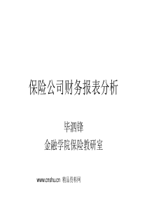 财务管理-保险公司财务报表分析（PPT39页）