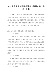 2023九九重阳节开展关爱老人策划方案（实例）5篇
