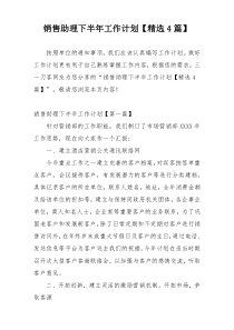 销售助理下半年工作计划【精选4篇】