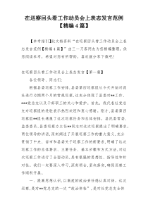 在巡察回头看工作动员会上表态发言范例【精编4篇】
