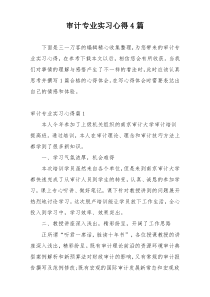 审计专业实习心得4篇