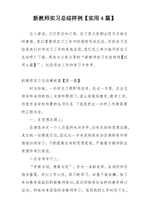 新教师实习总结样例【实用4篇】