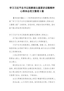 学习习近平总书记视察湖北重要讲话稿精神心得体会范文整理3篇