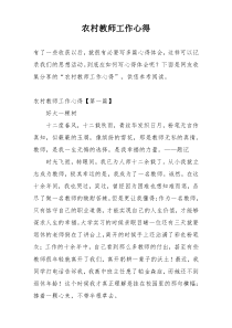 农村教师工作心得