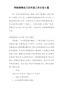 网络销售实习生年度工作计划5篇