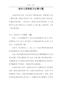 会计人员的实习心得5篇