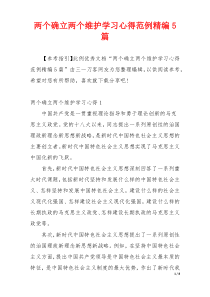 两个确立两个维护学习心得范例精编5篇