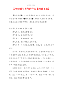 关于经验与勇气的作文【精选4篇】