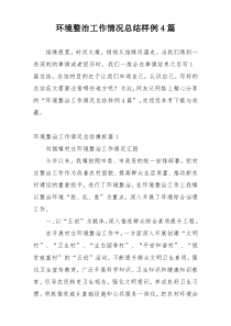 环境整治工作情况总结样例4篇