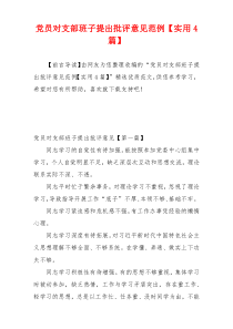 党员对支部班子提出批评意见范例【实用4篇】