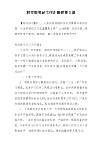 村支部书记工作汇报锦集3篇
