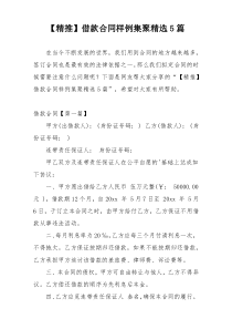 【精推】借款合同样例集聚精选5篇