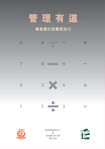 专业会计师实务指引