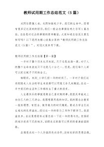 教师试用期工作总结范文（5篇）