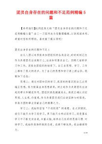 团员自身存在的问题和不足范例精编5篇