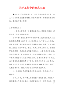 关于工作中的亮点5篇