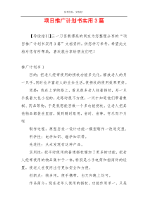 项目推广计划书实用3篇