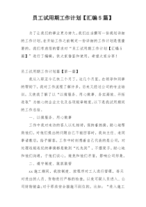 员工试用期工作计划【汇编5篇】