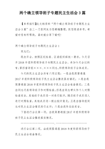 两个确立领导班子专题民主生活会3篇