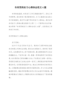 车间顶岗实习心得体会范文4篇