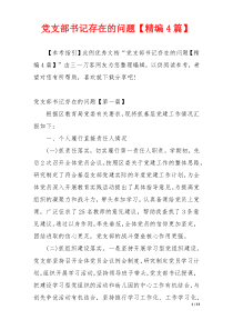 党支部书记存在的问题【精编4篇】