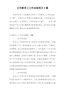 公司新员工工作总结范文5篇