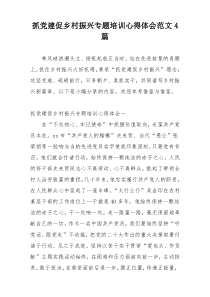 抓党建促乡村振兴专题培训心得体会范文4篇