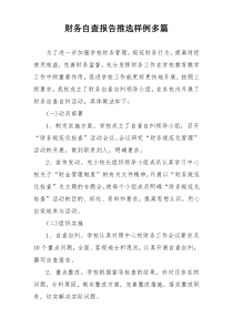财务自查报告推选样例多篇