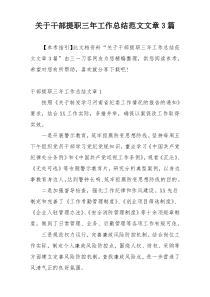 关于干部提职三年工作总结范文文章3篇
