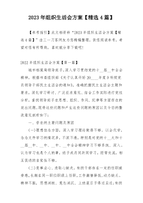 2023年组织生活会方案【精选4篇】