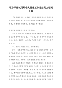 领导干部试用期个人思想工作总结范文范例5篇