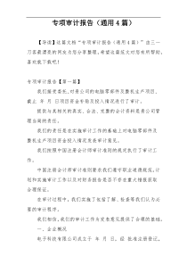 专项审计报告（通用4篇）
