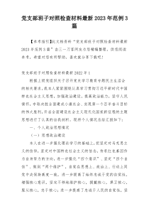 党支部班子对照检查材料最新2023年范例3篇