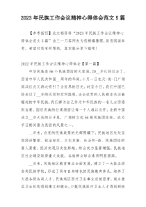 2023年民族工作会议精神心得体会范文5篇