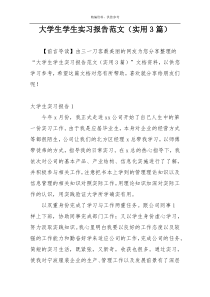 大学生学生实习报告范文（实用3篇）