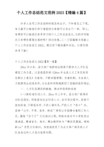 个人工作总结范文范例2023【精编4篇】