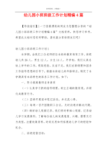幼儿园小班班级工作计划精编4篇