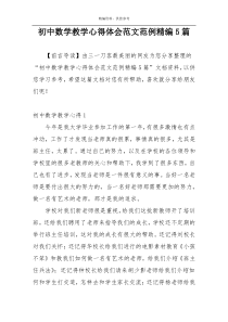 初中数学教学心得体会范文范例精编5篇