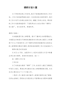 调研计划5篇