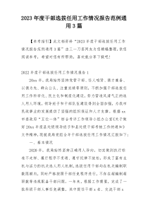 2023年度干部选拔任用工作情况报告范例通用3篇