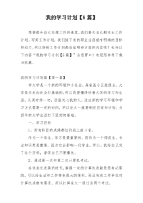 我的学习计划【5篇】