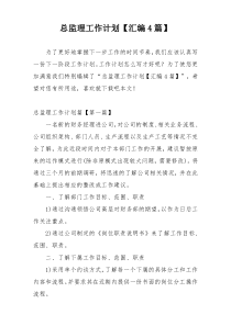 总监理工作计划【汇编4篇】