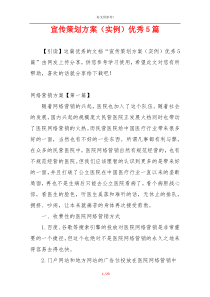 宣传策划方案（实例）优秀5篇