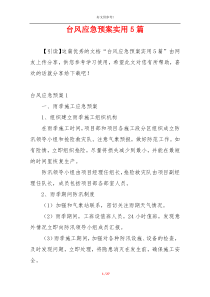 台风应急预案实用5篇
