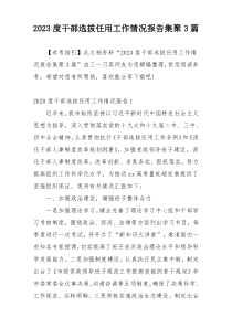 2023度干部选拔任用工作情况报告集聚3篇