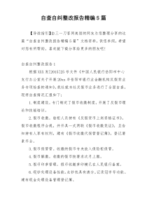 自查自纠整改报告精编5篇