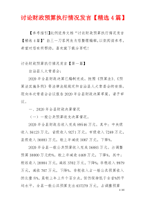 讨论财政预算执行情况发言【精选4篇】